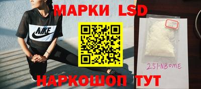 прущие грибы Нальчик