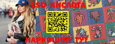 прущие грибы Нальчик