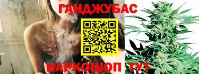 прущие грибы Нальчик