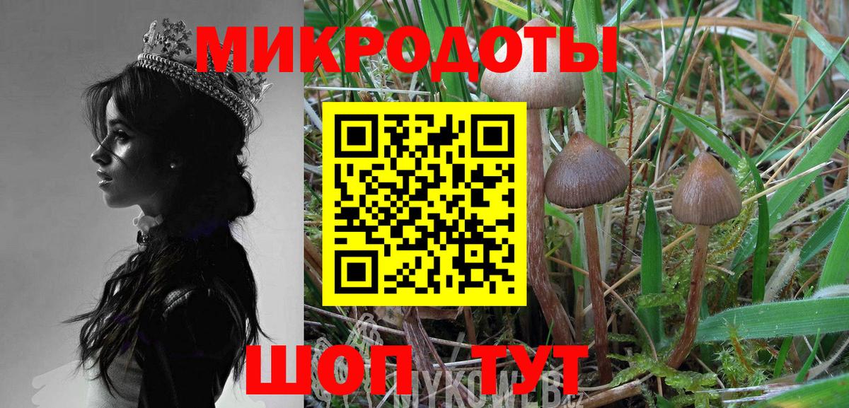 Галлюциногенные грибы Magic Shrooms Владимир