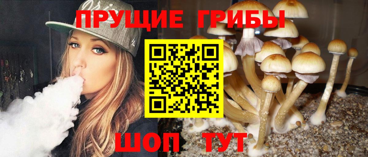 Владимир  Галлюциногенные грибы ЛСД  Вход с VPN 