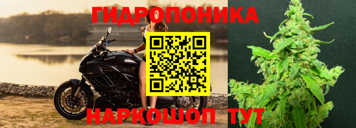 Каннабис THC 21%  МАРИХУАНА Bruce Banner  Владимир  Вход с VPN  Марихуана конопля  Бошки марихуана марихуана 